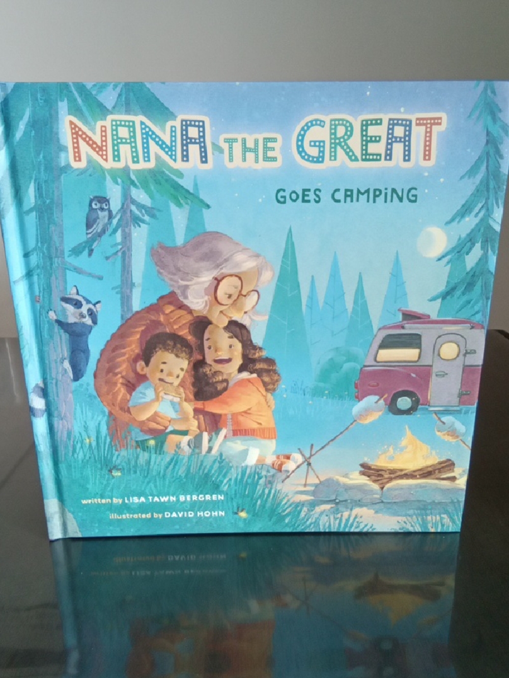 Nana the Great Goes Camping Book for kids